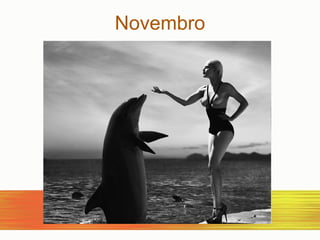 Novembro 