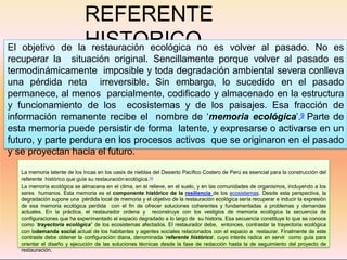REFERENTE
HISTORICO
La memoria latente de los Incas en los oasis de nieblas del Desierto Pacífico Costero de Perú es esencial para la construcción del
referente histórico que guíe su restauración ecológica.10
La memoria ecológica se almacena en el clima, en el relieve, en el suelo, y en las comunidades de organismos, incluyendo a los
seres humanos. Esta memoria es el componente histórico de la resiliencia de los ecosistemas. Desde esta perspectiva, la
degradación supone una pérdida local de memoria y el objetivo de la restauración ecológica sería recuperar e inducir la expresión
de esa memoria ecológica perdida con el fin de ofrecer soluciones coherentes y fundamentadas a problemas y demandas
actuales. En la práctica, el restaurador ordena y reconstruye con los vestigios de memoria ecológica la secuencia de
configuraciones que ha experimentado el espacio degradado a lo largo de su historia. Esa secuencia constituye lo que se conoce
como ‘trayectoria ecológica” de los ecosistemas afectados. El restaurador debe, entonces, contrastar la trayectoria ecológica
con lademanda social actual de los habitantes y agentes sociales relacionados con el espacio a restaurar. Finalmente de este
contraste debe obtener la configuración diana, denominada ‘referente histórico’, cuyo interés radica en servir como guía para
orientar el diseño y ejecución de las soluciones técnicas desde la fase de redacción hasta la de seguimiento del proyecto de
restauración.
El objetivo de la restauración ecológica no es volver al pasado. No es
recuperar la situación original. Sencillamente porque volver al pasado es
termodinámicamente imposible y toda degradación ambiental severa conlleva
una pérdida neta irreversible. Sin embargo, lo sucedido en el pasado
permanece, al menos parcialmente, codificado y almacenado en la estructura
y funcionamiento de los ecosistemas y de los paisajes. Esa fracción de
información remanente recibe el nombre de ‘memoria ecológica’.9 Parte de
esta memoria puede persistir de forma latente, y expresarse o activarse en un
futuro, y parte perdura en los procesos activos que se originaron en el pasado
y se proyectan hacia el futuro.
 