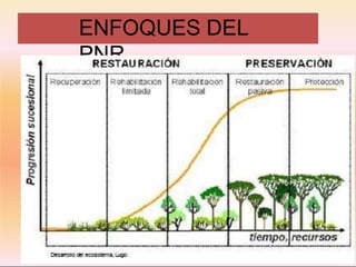 ENFOQUES DEL
PNR
 