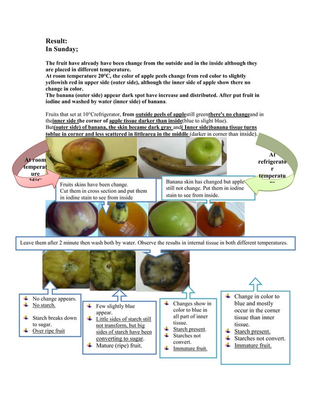 ethylene hormone in fruit ripen PDF