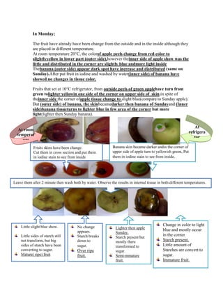 In Monday;

            The fruit have already have been change from the outside and in the inside although they
            are placed in different temperature.
            At room temperature 20°C, the colorof apple peels change from red color to
            slightlyyellow in lower part (outer side),however theinner side of apple show was the
            little and distributed in the corner are slightly blue andmore light inside
            Thebanana (outer side) appear dark spot have increase and distributed (same on
            Sunday).After put fruit in iodine and washed by water(inner side) of banana have
            showed no changes in tissue color.

            Fruits that set at 10°C refrigerator, from outside peels of green applehave turn from
            green tolighter yellowin one side of the corner on upper side of skin,in spite of
            theinner side the corner ofapple tissue change to slight blue(compare to Sunday apple).
            But (outer side) of banana, the skinbecamedarker then banana of Sundayand (Inner
            side)banana tissueturns to lighter blue in few area of the corner but more
            light(lighter then Sunday banana).

                                                                                                                 At
  At room
                                                                                                              refrigera
  temperat
                                                                                                                 tor
     ure
                                                                                                              temperat
    25°C                                                      Banana skin became darker andin the corner of ure
            Fruits skins have been change.
            Cut them in cross section and put them            upper side of apple turn to yellowish green, Put 10°C
            in iodine stain to see from inside                them in iodine stain to see from inside.




Leave them after 2 minute then wash both by water. Observe the results in internal tissue in both different temperatures.




    Little slight blue show.            No change
                                                                                             Change in color to light
                                                                Lighter then apple           blue and mostly occur
                                        appears.                Sunday.
    Little sides of starch still        Starch breaks                                        in the corner
                                                                Starch present but
    not transform, but big              down to                 mostly there                 Starch present.
    sides of starch have been           sugar.                  transformed to               Little amount of
    converting to sugar.                Over ripe               sugar.                       Starches are convert to
    Mature( ripe) fruit                 fruit.                  Semi-mmature                 sugar.
                                                                fruit.                       Immature fruit.
 