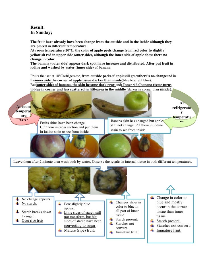 ethylene hormone in fruit ripen