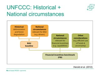 Result-based payments for REDD+ 
