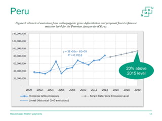Result-based payments for REDD+ 