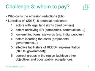 Result-based payments for REDD+ 