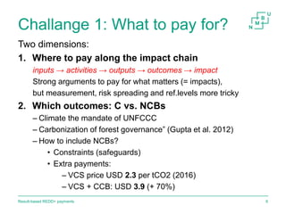 Result-based payments for REDD+ 