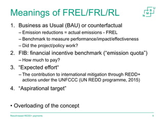 Result-based payments for REDD+ 