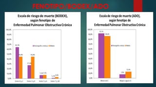FENOTIPO/BODEX/ADO
 