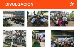 DIVULGACIÓN
 