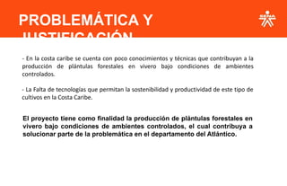PROBLEMÁTICA Y
JUSTIFICACIÓN
- En la costa caribe se cuenta con poco conocimientos y técnicas que contribuyan a la
producción de plántulas forestales en vivero bajo condiciones de ambientes
controlados.
- La Falta de tecnologías que permitan la sostenibilidad y productividad de este tipo de
cultivos en la Costa Caribe.
El proyecto tiene como finalidad la producción de plántulas forestales en
vivero bajo condiciones de ambientes controlados, el cual contribuya a
solucionar parte de la problemática en el departamento del Atlántico.
 