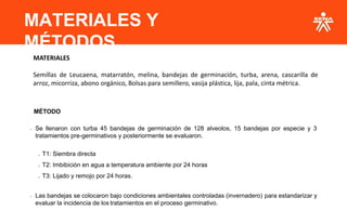 MATERIALES Y
MÉTODOS
MÉTODO
• Se llenaron con turba 45 bandejas de germinación de 128 alveolos, 15 bandejas por especie y 3
tratamientos pre-germinativos y posteriormente se evaluaron.
o T1: Siembra directa
o T2: Imbibición en agua a temperatura ambiente por 24 horas
o T3: Lijado y remojo por 24 horas.
• Las bandejas se colocaron bajo condiciones ambientales controladas (invernadero) para estandarizar y
evaluar la incidencia de los tratamientos en el proceso germinativo.
MATERIALES
Semillas de Leucaena, matarratón, melina, bandejas de germinación, turba, arena, cascarilla de
arroz, micorriza, abono orgánico, Bolsas para semillero, vasija plástica, lija, pala, cinta métrica.
 