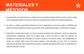 MATERIALES Y
MÉTODOS
1. El seguimiento de la germinación se realizó de forma periódica durante 22 días y cada 2 días los datos
fueron registrados desde el inicio de la siembra en bandeja hasta cumplir con el tiempo programado.
2. Se utilizó un diseño experimental factorial 3x3 con 5 repeticiones al cual se le aplicó un ANOVA para
obtener los datos estadísticos sobre la germinación de los tratamientos simples y combinados en estudio.
3. Culminado el periodo germinativo, se inició el proceso evaluativo del crecimiento, donde se observaron
características morfológicas (altura de la planta, largo y ancho de hoja) en todas las especies, las
bandejas son sacadas del invernadero al cumplir el tiempo en la toma de datos y son trasplantadas en
bolsas con sustrato (50% arena, 25% abono orgánico, 15% cascarilla de arroz, 10% de micorriza)
ubicando las plántulas bajo condiciones de sombra controlada (polisombra 80%) para su estabilización y
poder ser llevadas a campo.
 
