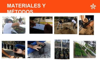 MATERIALES Y
MÉTODOS
 