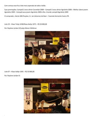 Leilão Amigos do Paraná