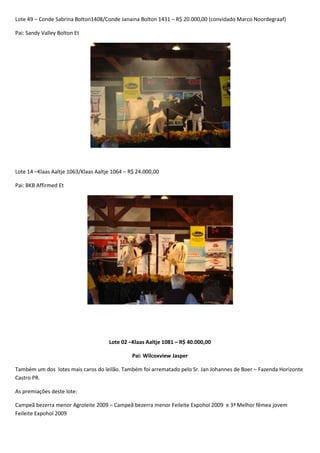 Leilão Amigos do Paraná