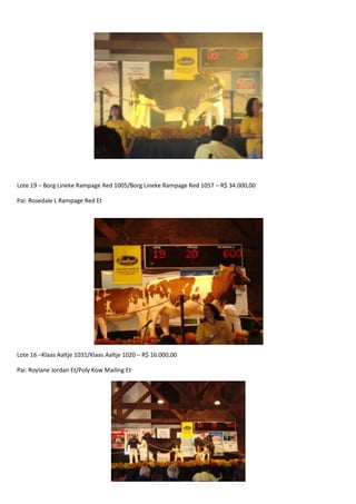 Leilão Amigos do Paraná