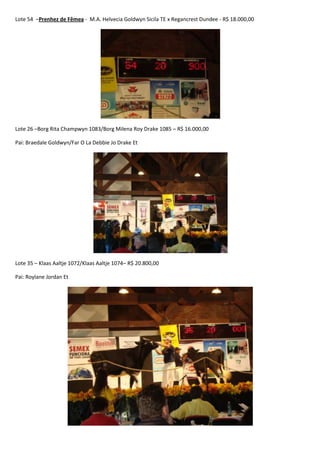 Leilão Amigos do Paraná