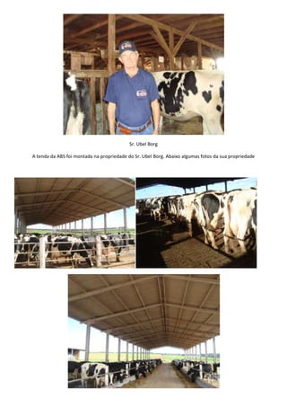 Leilão Amigos do Paraná