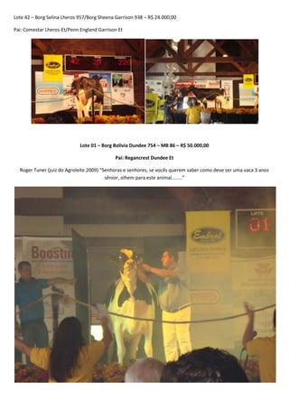 Leilão Amigos do Paraná