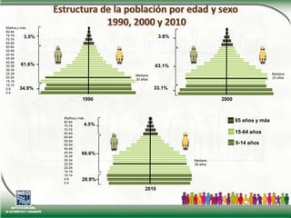 Estructura de la población por edad y sexo 1990, 2000 y 201085años y más 80-8475-7970-7465-6960-6455-5950-5445-4940-4435-3930-3425-2920-2415-1910-145-90-43.8%3.5%61.6%63.1%Mediana23 añosMediana20 años33.1%34.9%1990200085años y más 80-8475-7970-7465-6960-6455-5950-5445-4940-4435-3930-3425-2920-2415-1910-145-90-465 años y más 4.5%15-64 años 0-14 años66.6%Mediana26 años28.9%2010