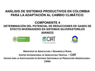 ANÁLISIS DE SISTEMAS PRODUCTIVOS EN COLOMBIA
PARA LA ADAPTACIÓN AL CAMBIO CLIMÁTICO:
COMPONENTE 4
DETERMINACIÓN DEL POTENCIAL DE REDUCCIONES DE GASES DE
EFECTO INVERNADERO EN SISTEMAS SILVOPASTORILES

AVANCES

MINISTERIO DE AGRICULTURA Y DESARROLLO RURAL
CENTRO INTERNACIONAL DE AGRICULTURA TROPICAL – CIAT
CENTRO PARA LA INVESTIGACIÓN EN SISTEMAS SOSTENIBLES DE PRODUCCIÓN AGROPECUARIA CIPAV

 