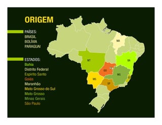 Confinar 2013 - resultados