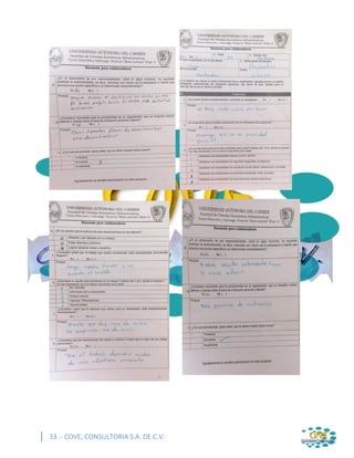 33 .- COVE, CONSULTORIA S.A. DE C.V.
 