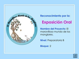 El Maravilloso Mundo de los Manglares Reconocimiento por la:  Exposición Oral Nombre del Proyecto:  El maravilloso mundo de los manglares. Nivel:  Preparatoria B Bloque:  2 