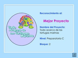 Reconocimiento al:  Mejor Proyecto Nombre del Proyecto:  Todo acerca de las tortugas marinas Nivel:  Preparatoria C Bloque:  2 