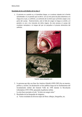 Resultados de las actividades de la clase 2<br />El pariente en cuestión es, el Cymothoa Exigua, un crustáceo isópodo de la familia Cymothoidae. Es un parásito que se aferra  con sus tres pares de patas delanteras a la lengua de un pez, su anfitrión, y se alimenta de la arteria que suministra sangre a esa parte del cuerpo.  Posteriormente, ante la falta de sangre la lengua se atrofia y el parásito se une a los músculos de dicho órgano. De este proceso el cuerpo del crustáceo reemplaza a la lengua del pez sin perjudicar el proceso alimenticio del anfitrión. <br />Fuente: www.wikipedia.com<br />La persona que dijo esa frase fue Américo Ghioldi (1899-1985) fue un maestro, político y escritor. Su declaración se hizo pública luego de los fusilamientos del levantamiento militar del General Valle de 1956 durante la Revolución Libertadora (1955-1958), apoyando al gobierno militar.<br />La otra frase asociada es la de: “la letra con sangre entra.”<br />Resultados de las búsquedas de imágenes:<br />Varios resultados de diversos tipos de flores: dibujos, fotografías, etc.<br />Varios resultados, sin embargo aparece una flor en particular.<br />D) y e) Aparecen dos resultados como los más significativos.<br />Rafflesia arnoldiiAmorphophallus titanum<br />Luego de investigar en la web la flor del Amorphophallus titanum es la más alta, grande  y pesada; ya que tiene un promedio de dos metros y medio de altura, aproximadamente un metro de diámetro y un peso de setenta y cinco kilogramos. La flor de Rafflesia arnoldii tiene un promedio de altura de un metro, un metro de diámetro y once kilogramos.<br />4) Primer desafío: El lugar se encuentra en la Laguna de Mar Chiquita, Miramar, Córdoba, Argentina y el lugar en cuestión es el Gran Hotel Viena.<br />Segundo desafío: El aminoácido es el Triptófano. Abunda en los huevos, la leche y los cereales integrales. Es esencial para que el cerebro segregue la Serotonina que es un neurotransmisor cerebral.<br />Tercer desafío: El badajo de las campanas del Cabildo había sido retirado por orden del Virrey Liniers ante su utilización en la asonada de 1809 liderada por Martín de Álzaga.<br />