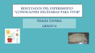 RESULTADOS DEL EXPERIMENTO:
“CONDICIONES NECESARIAS PARA VIVIR”
THALÍA TAVIMA
GRADO 6
 