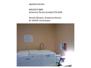 Agradecimientos
MECESUP 0804
Asistencia Técnica EcoHyd 278-2450

Pamela Olivares, Asistencia técnica
Dr. Ortloff, microscopia

 