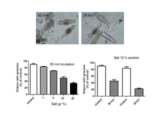 30 min

10 µm

24 hrs

 