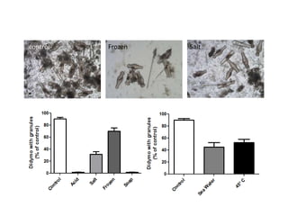 control

10 µm

Frozen

Salt

 