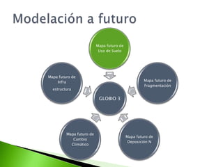 Información de los equipos
