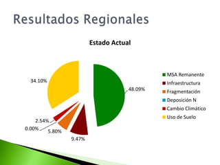 Reclasificación de MSA