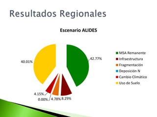 SupuestosOpciones de política construidas sobre las proyecciones del escenario BaseIndependencia entre opcionesEstabilidad política y climáticaSe incluyeron las variables relacionadas con el uso del sueloEl efecto de algunas variables fue aproximados