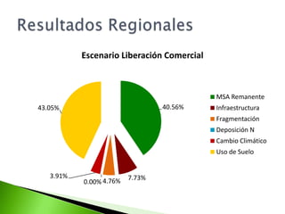 Cuantificación de los escenariosDatos de respaldoSeries de datosProyeccionesDocumentosArtículosFalta de información sistemática en todos los países y todos los usos de suelo