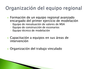 Organización del equipo regionalFormación de un equipo regional avanzado encargado del primer ejercicio de modelaciónEquipo de reevaluación de valores de MSAEquipo de construcción de escenariosEquipo técnico de modelaciónCapacitación a equipos en sus áreas de intervenciónOrganización del trabajo vinculado