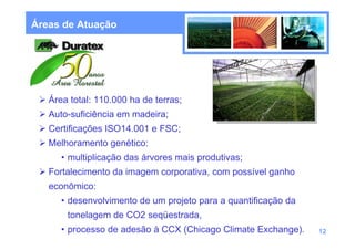 Áreas de Atuação




   Área total: 110.000 ha de terras;
   Auto-suficiência em madeira;
   Certificações ISO14.001 e FSC;
   Melhoramento genético:
      • multiplicação das árvores mais produtivas;
   Fortalecimento da imagem corporativa, com possível ganho
   econômico:
      • desenvolvimento de um projeto para a quantificação da
       tonelagem de CO2 seqüestrada,
      • processo de adesão à CCX (Chicago Climate Exchange).    12
 