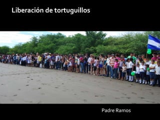 Liberación de tortuguillos




                             Padre Ramos
 