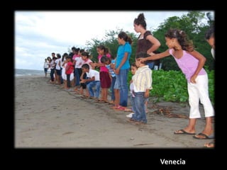 Venecia
 