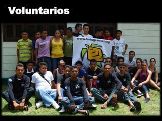 Voluntarios
 