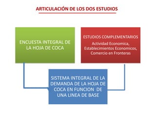 ARTICULACIÓN DE LOS DOS ESTUDIOS

ESTUDIOS COMPLEMENTARIOS

ENCUESTA INTEGRAL DE
LA HOJA DE COCA

Actividad Economica,
Establecimientos Economicos,
Comercio en Fronteras

SISTEMA INTEGRAL DE LA
DEMANDA DE LA HOJA DE
COCA EN FUNCION DE
UNA LINEA DE BASE

 