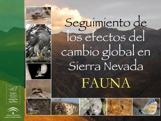 Seguimiento de  los efectos del cambio global en Sierra Nevada FAUNA 
