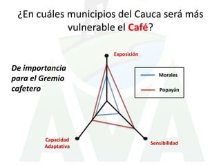 ¿En cuáles municipios del Cauca será más
            vulnerable el Café?

                     Exposición

De importancia
...