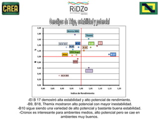-El B 17 demostró alta estabilidad y alto potencial de rendimiento. -B9, B18, Themix mostraron alto potencial con mayor inestabilidad. -B10 sigue siendo una variedad de alto potencial y bastante buena estabilidad. -Cronox es interesante para ambientes medios, alto potencial pero se cae en ambientes muy buenos.   Genotipos de Trigo, estabilidad y potencial 