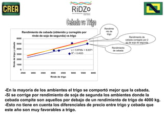 -En la mayoría de los ambientes el trigo se comportó mejor que la cebada. -Si se corrige por rendimiento de soja de segunda los ambientes donde la cebada compite son aquellos por debajo de un rendimiento de trigo de 4000 kg. -Esto no tiene en cuenta los diferenciales de precio entre trigo y cebada que este año son muy favorables a trigo.  Cebada vs Trigo Rendimiento de trigo Rendimiento de cebada corregido por 2 qq de soja de segunda Rendimiento de cebada 