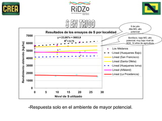 -Respuesta solo en el ambiente de mayor potencial. S EN TRIGO 9 de julio Alta MO, alto potencial Bonifacio, baja MO, alto potencial, muy bajo nivel de SO4, 14 años de agricultura 