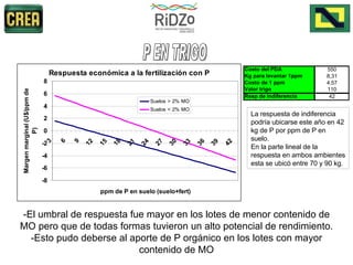 -El umbral de respuesta fue mayor en los lotes de menor contenido de MO pero que de todas formas tuvieron un alto potencial de rendimiento. -Esto pudo deberse al aporte de P orgánico en los lotes con mayor contenido de MO P EN TRIGO La respuesta de indiferencia podría ubicarse este año en 42 kg de P por ppm de P en suelo. En la parte lineal de la respuesta en ambos ambientes esta se ubicó entre 70 y 90 kg. 